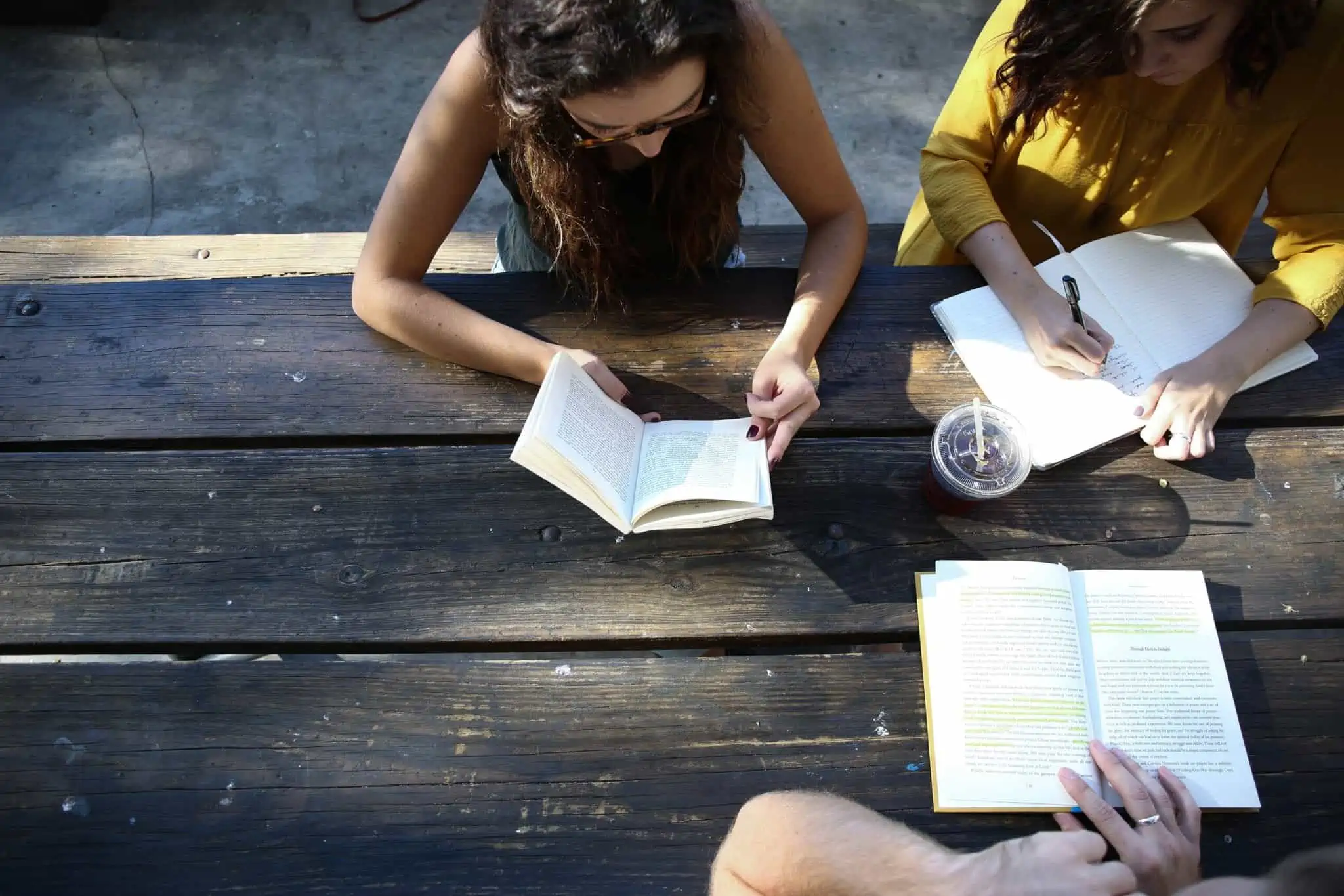 Books of the Bible Studies Groups Love – OT